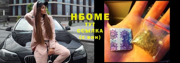 СК Алексин