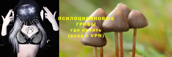 гидропоника Алексеевка
