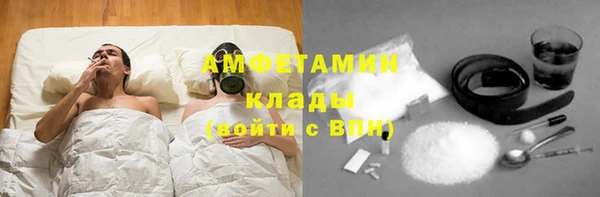 СК Алексин