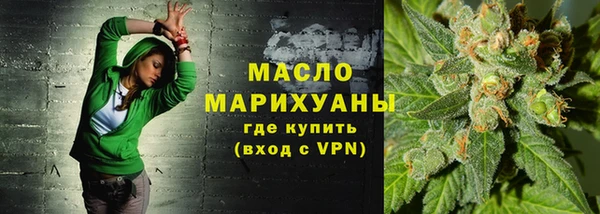 СК Алексин