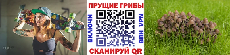 Галлюциногенные грибы ЛСД  закладки  Жуковский 